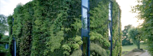 Den franske botanikeren og landskapsdesigneren Patrick Blanck er kjent for å ha skapt unike vertikale hager på en del bygninger. Han samarbeider med arkitekter verden over og bidrar til å skape pustende levende kunstverk på alt fra […]