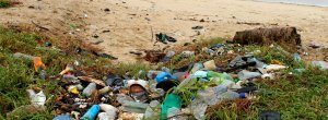 Plastikk i naturen er et mye større problem enn folk flest tenker over. Dokumentaren gir et innblikk i hvordan vi  lar plast ta over naturen og havene våres. Om hvordan det årlig tar liv og skaper lidelser […]