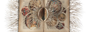 Med gjenbrukte bøker former den Sør Afrikanske kunstneren Barbara Wildenboer unike skulpturer som gjenspeiler hennes undring over naturens komplekse systemer som fraktaler, geometri og sammenhengen mellom alt levende. Wildenboer bruker ofte innholdet i bøkene, som kart, […]