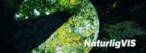 NRK`s TV-serie Naturligvis, tar oss med landet rundt og viser oss hvordan vi kan leve mer miljøvennlig ved å leve mer i pakt med naturen.  I løpet av fem episoer reiser programleder Hanne Cecilia Aass reise […]